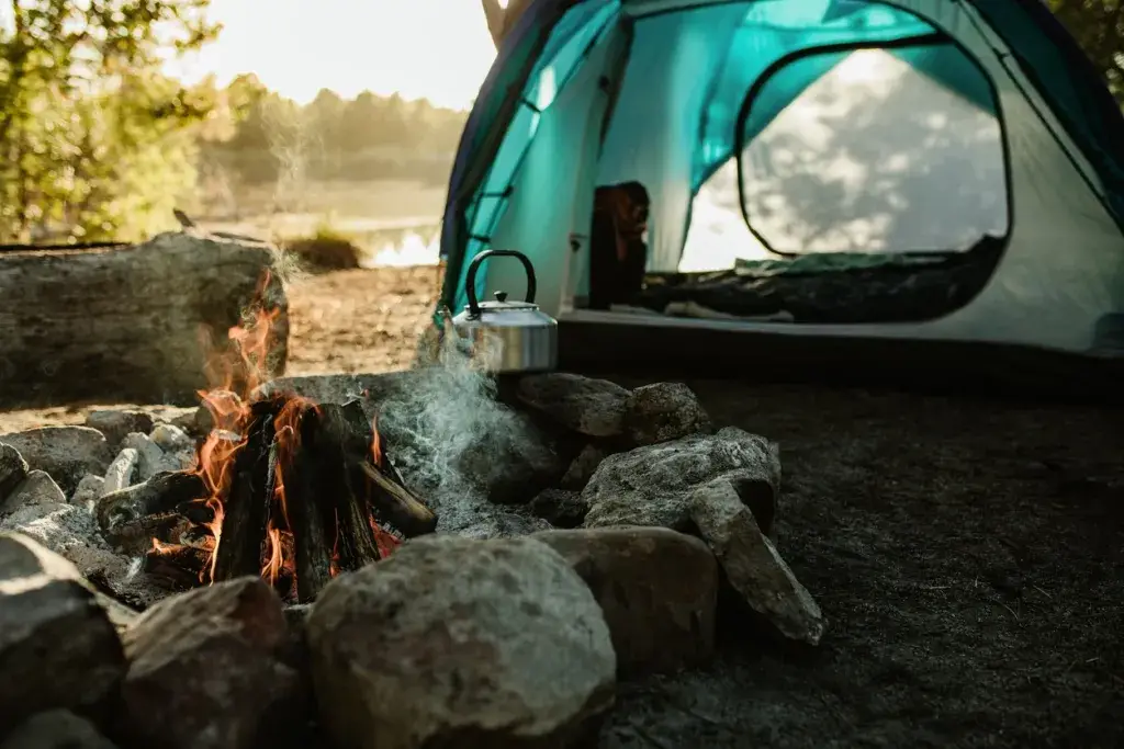 ¡Camping salvaje, los mejores sitios para acampar, South Downs Way y más!