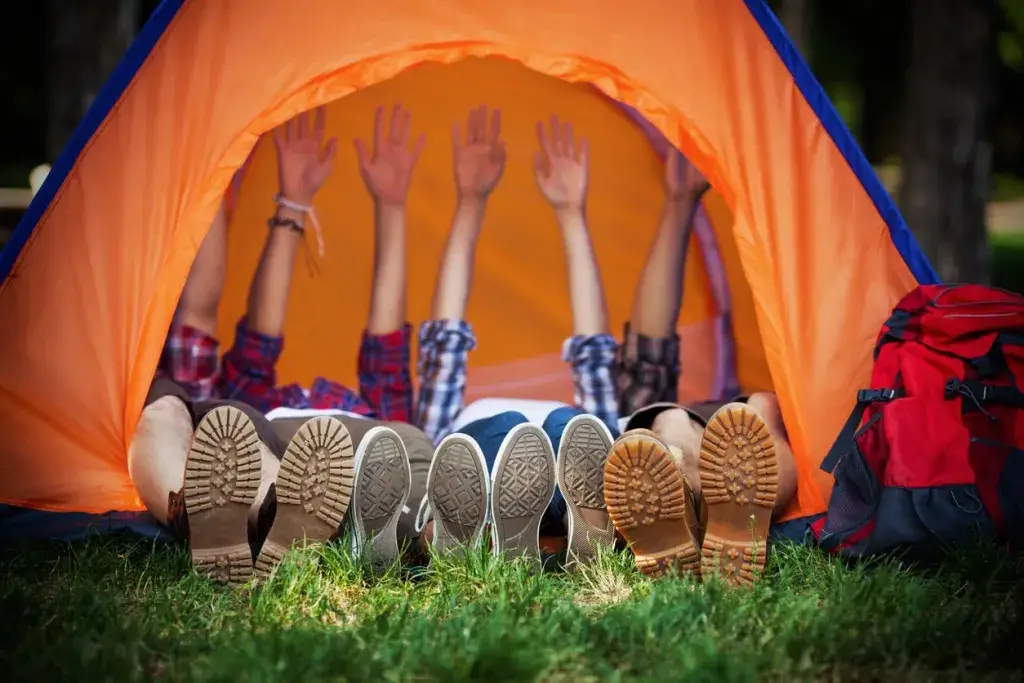 ¡Los mejores campings, reglas, camping salvaje y más!