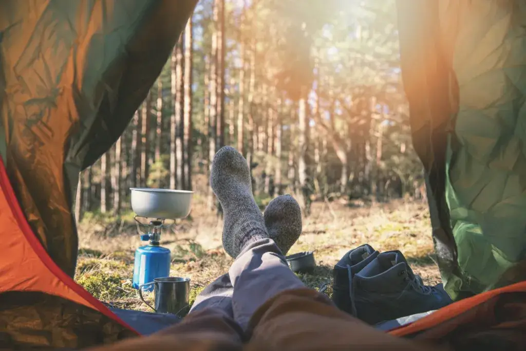 ¡Camping salvaje, los mejores sitios para acampar, consejos y más!