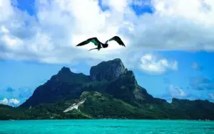 ¿Es seguro visitar Bora Bora en 2022? (Guía de seguridad en viajes)