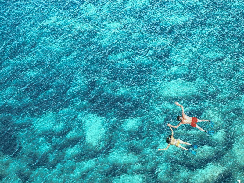Los 7 Mejores Lugares Para Hacer Snorkel En Cozumel Para La Vida Marina