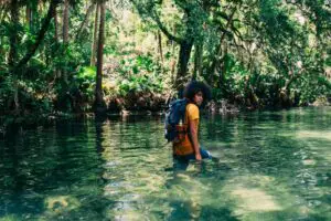 Los 5 Mejores Tours En La Selva Amazónica En Manaos, Brasil (2023)