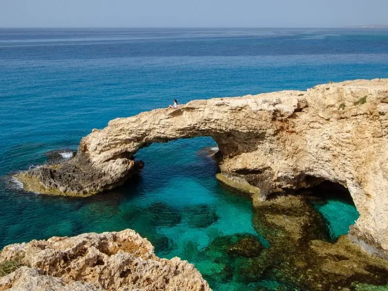 Los 9 animales más aterradores y peligrosos de Chipre