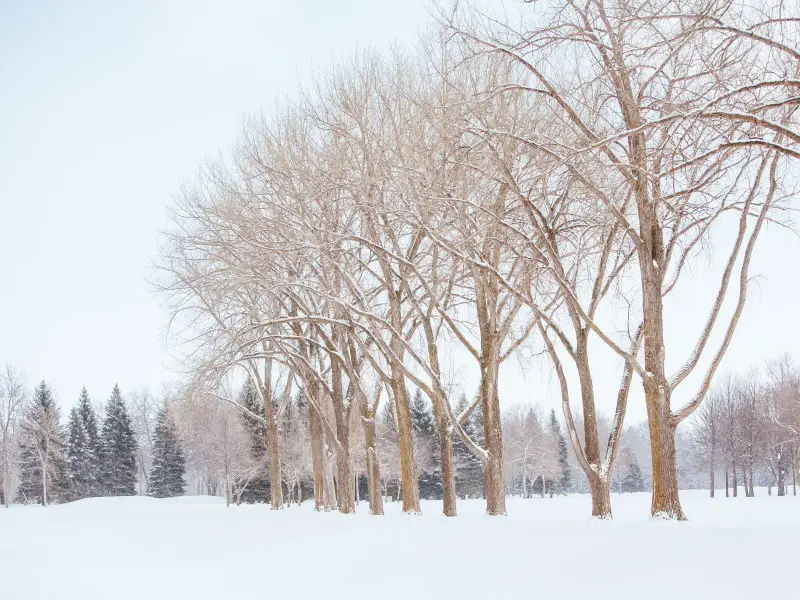 Los 7 lugares más fríos de América del Norte para viajes bajo cero