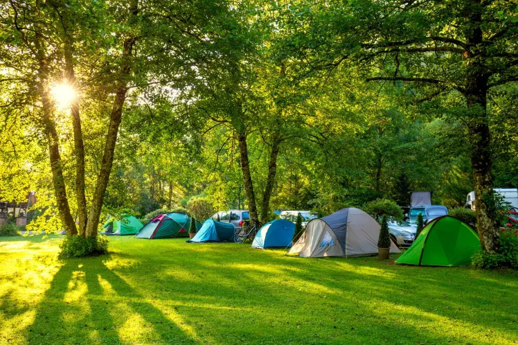¡Los campings en profundidad, el mejor momento para visitarlos y más!
