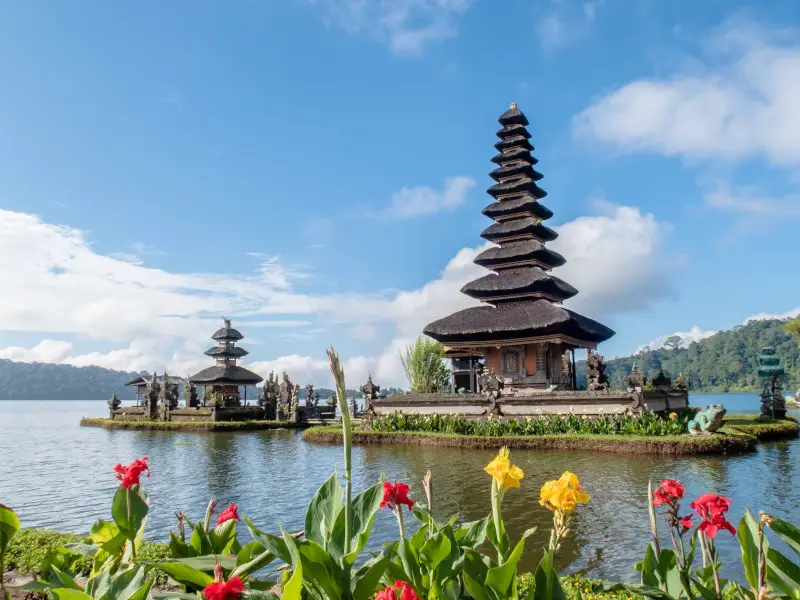 Mosquitos en Bali: todo lo que debes saber