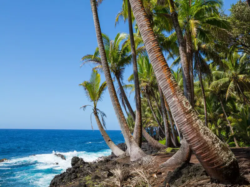 ¿Honolulú o Kona? ¿Dónde ir durante sus vacaciones en Hawai?