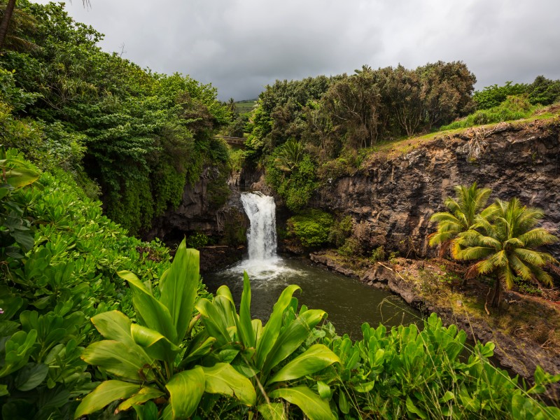 ¿Lanai o Molokai? Entre las islas menos conocidas de Hawái