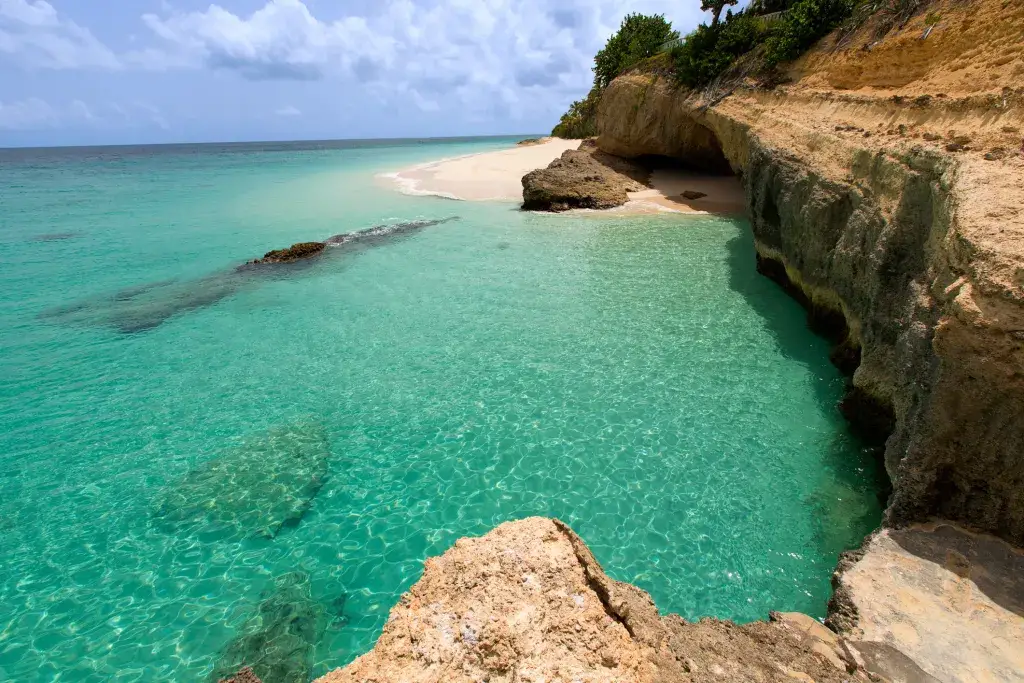 ¡Las cinco islas del Caribe que los amantes de la naturaleza y la vida silvestre deben visitar!
