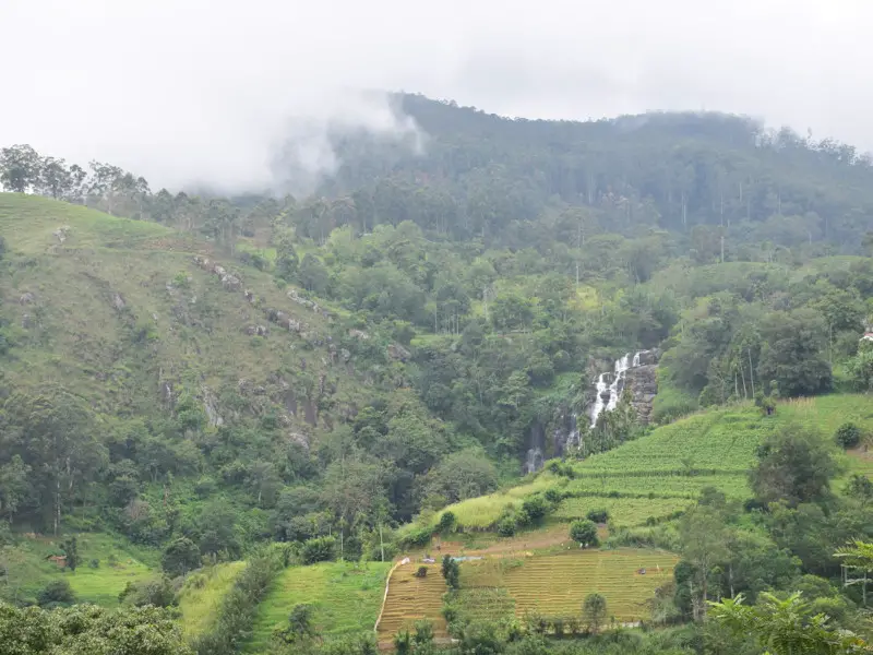 ¿Vale la pena visitar Kandy? Una guía de la ciudad montañosa de Sri Lanka