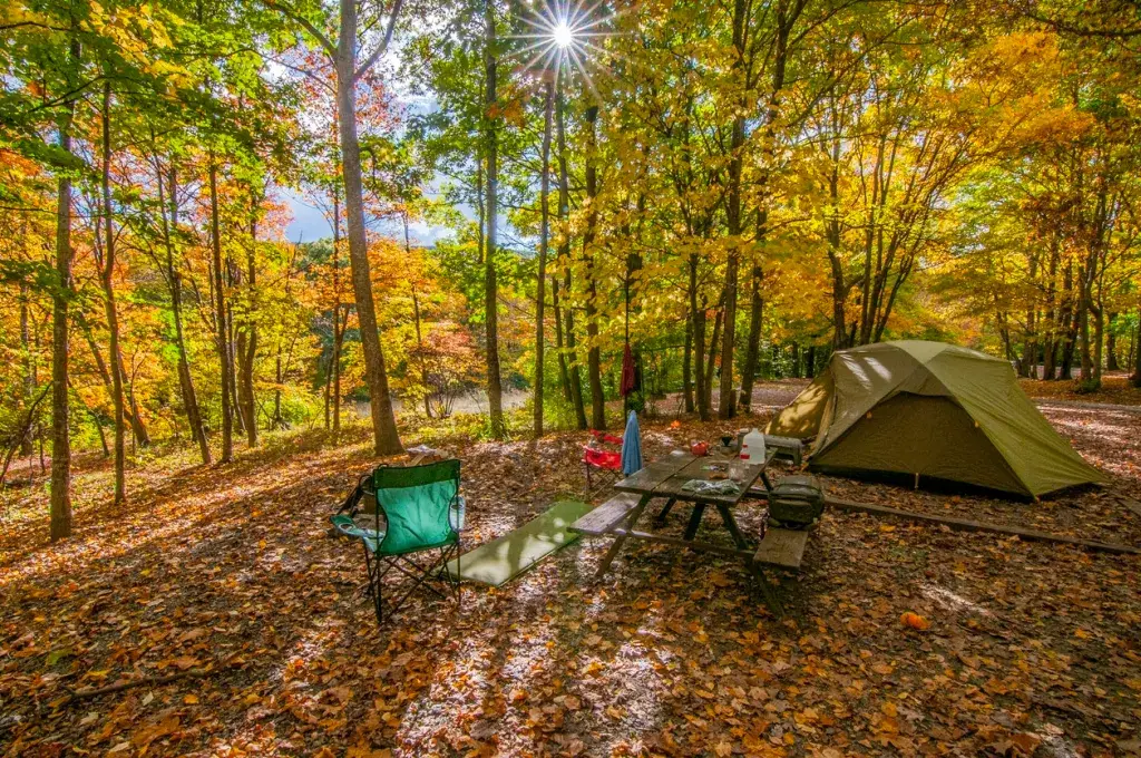 ¡Los mejores campings, campamentos dispersos, consejos y más!