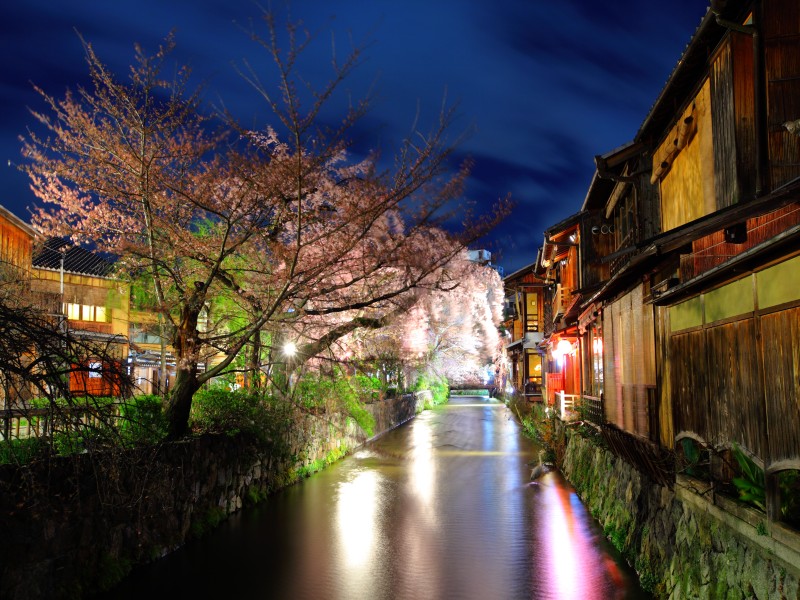 Las 5 mejores ciudades de fiesta en Japón para una noche salvaje