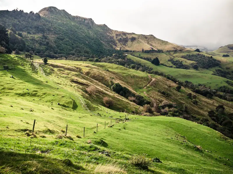 ¿Vale la pena visitar Rotorua? 7 razones por las que deberías visitar