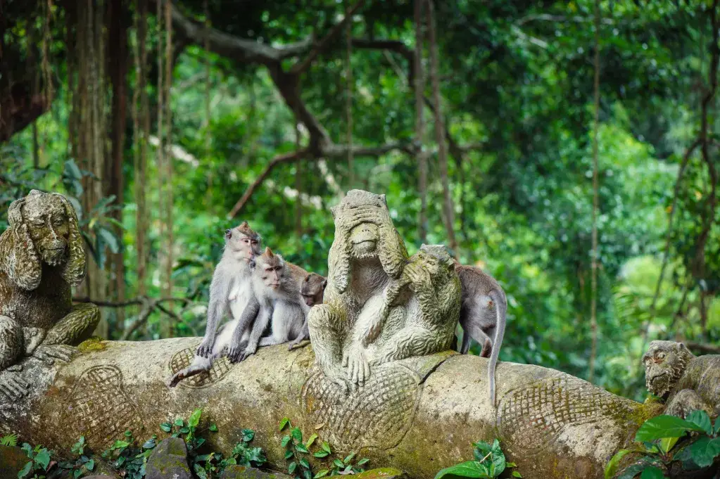 ¡Las mejores excursiones de un día a Bali para los amantes de la naturaleza y la vida silvestre!