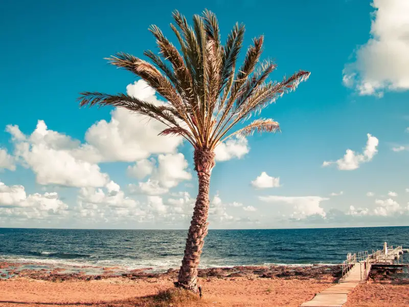 Las 7 cosas principales que se deben evitar en Chipre durante las vacaciones