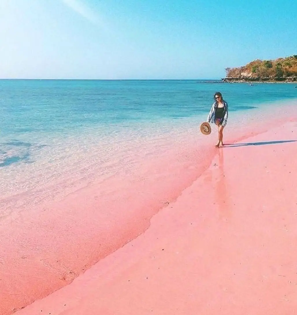 Visitando Pink Beach en Lombok, Indonesia (actualizado para 2022)