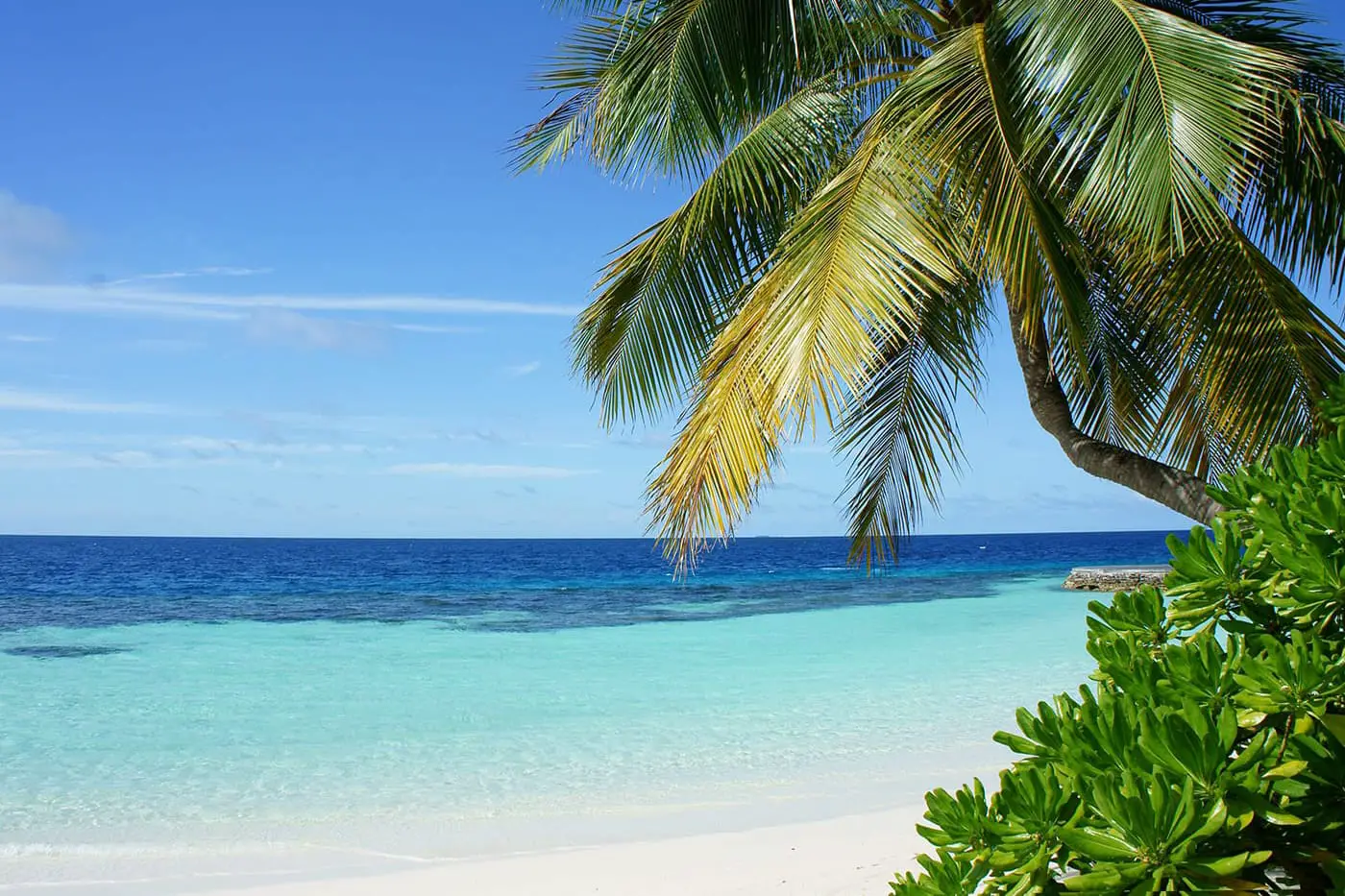 https://www.journeyingtheglobe.com/playas-despobladas-en-las-maldivas/