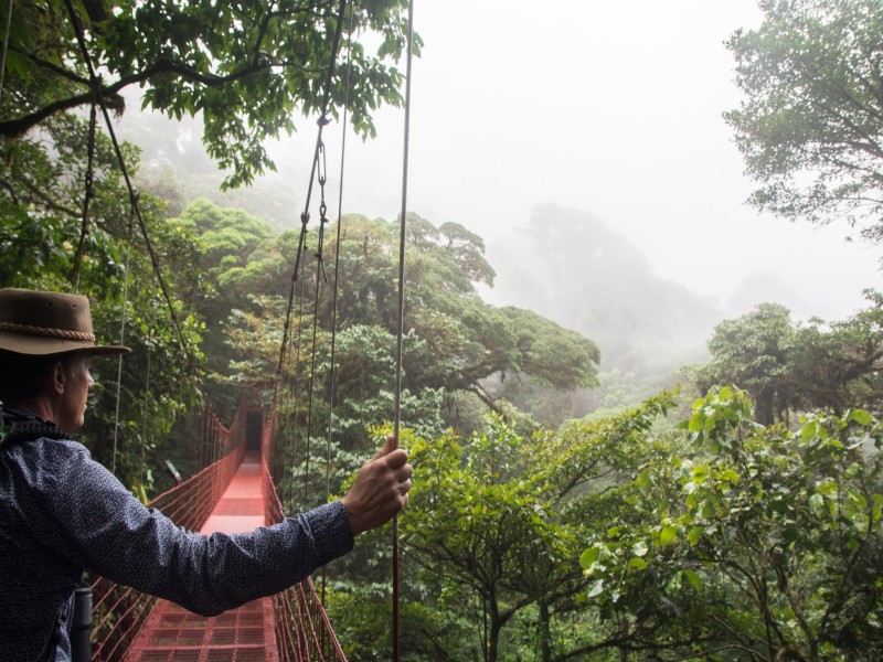 Dónde hospedarse en Monteverde, Costa Rica: Los 9 mejores hoteles