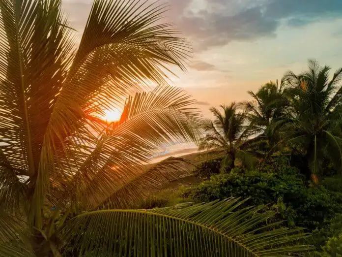 Los 9 Mejores Resorts Familiares Todo Incluido En Costa Rica