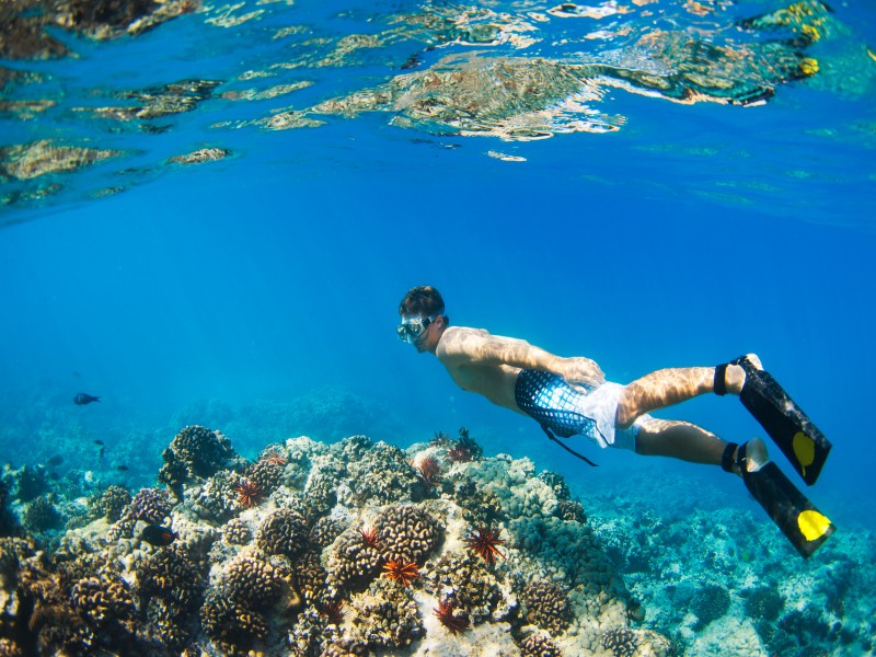 El mejor lugar para practicar snorkel en Creta (9 mejores lugares)