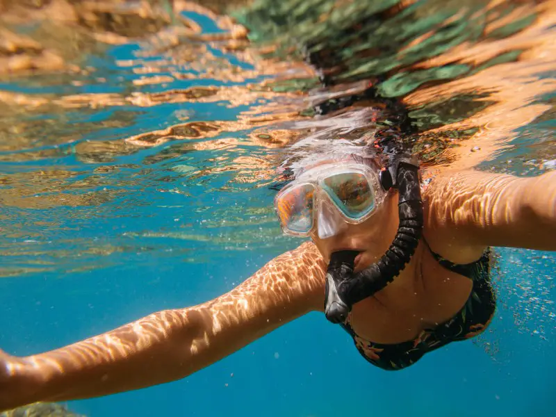Los 7 Mejores Lugares Para Hacer Snorkel En Cozumel Para La Vida Marina