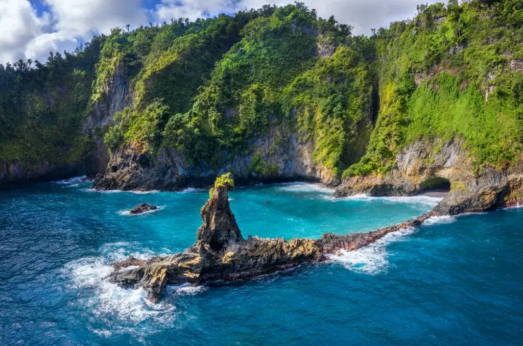 ¡Las cinco islas del Caribe que los amantes de la naturaleza y la vida silvestre deben visitar!