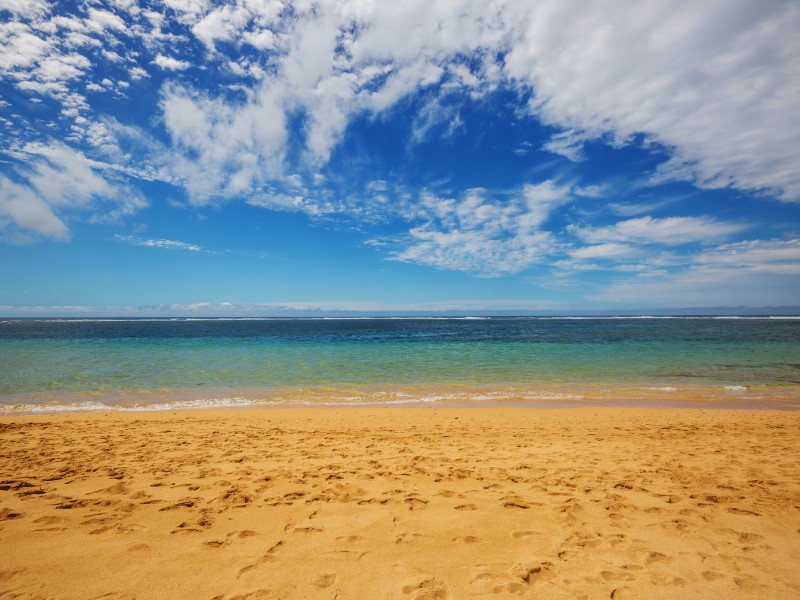 ¿Vale la pena visitar Hawái? ¡7 razones por las que Aloha es increíble!