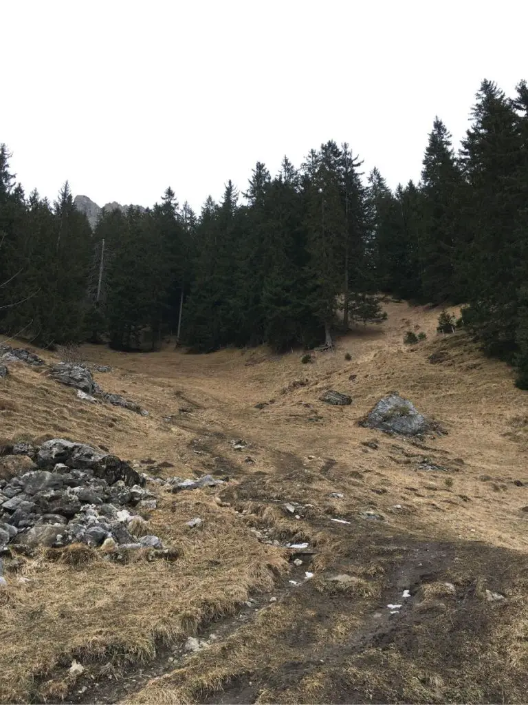 Caminata invernal por Oeschinensee: una excursión de un día perfecta para familias