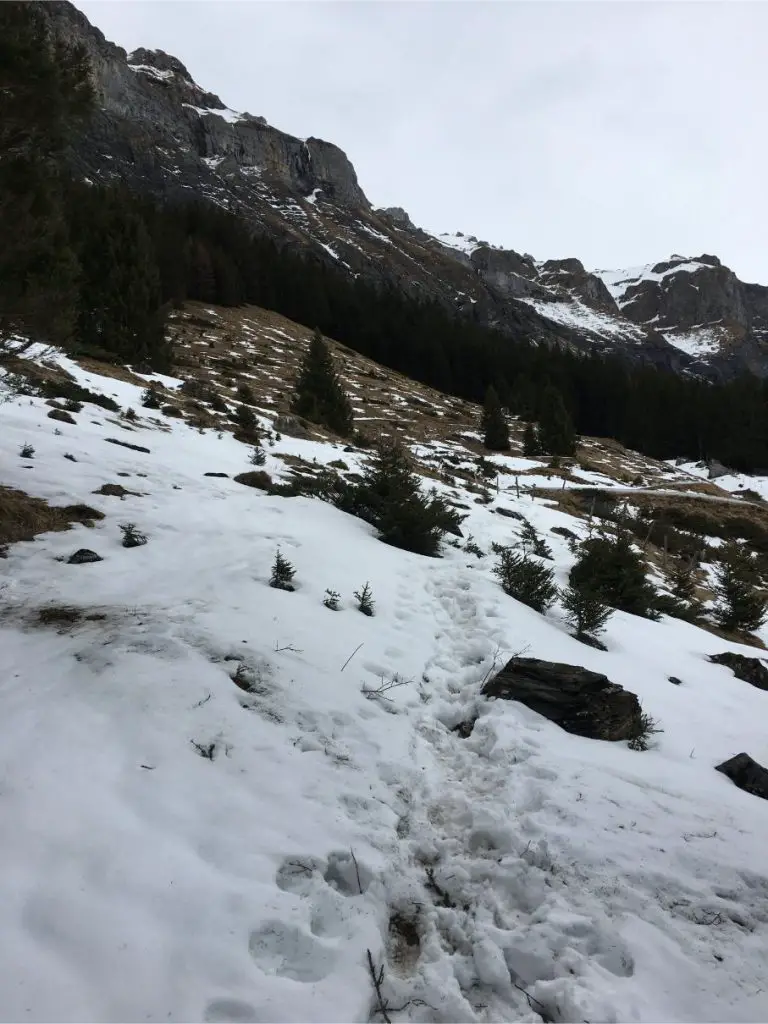 Caminata invernal por Oeschinensee: una excursión de un día perfecta para familias