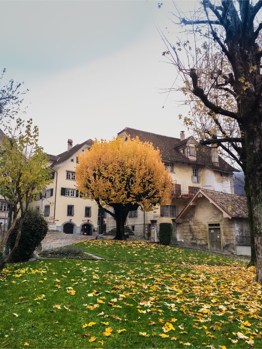 5 cosas para hacer en familia en Schwyz, Suiza