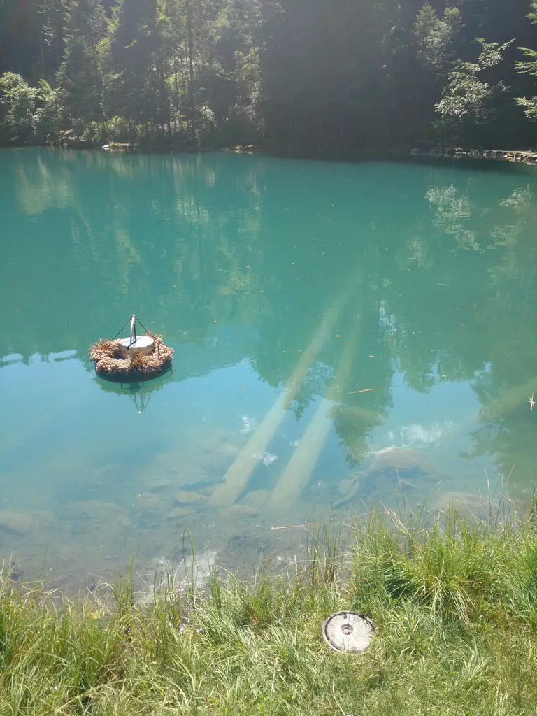 Blausee – Descubre el Lago Azul en Suiza