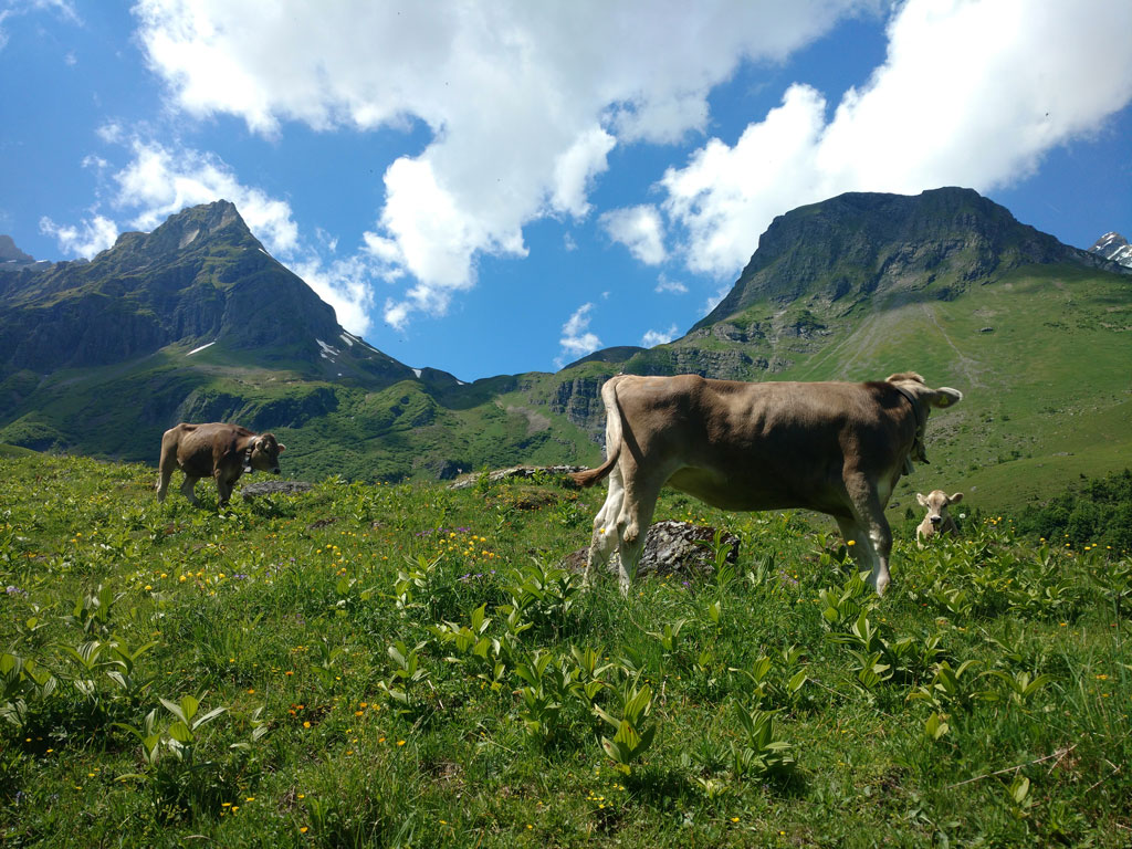 Senderismo en Glarnerland, Suiza