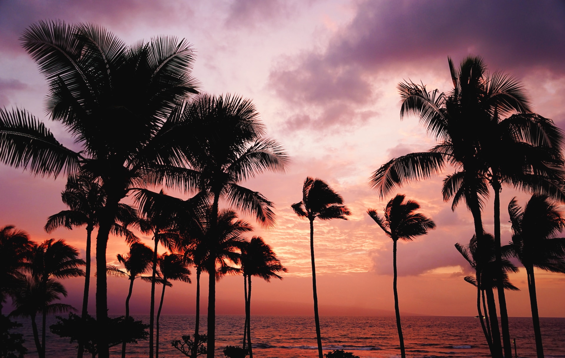 Visite Hawaii: disfrute de la belleza natural y los resorts de lujo.