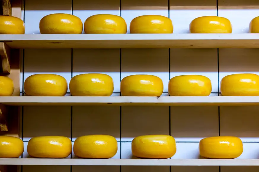 Los mejores tours a fábricas de queso en Suiza que no te puedes perder