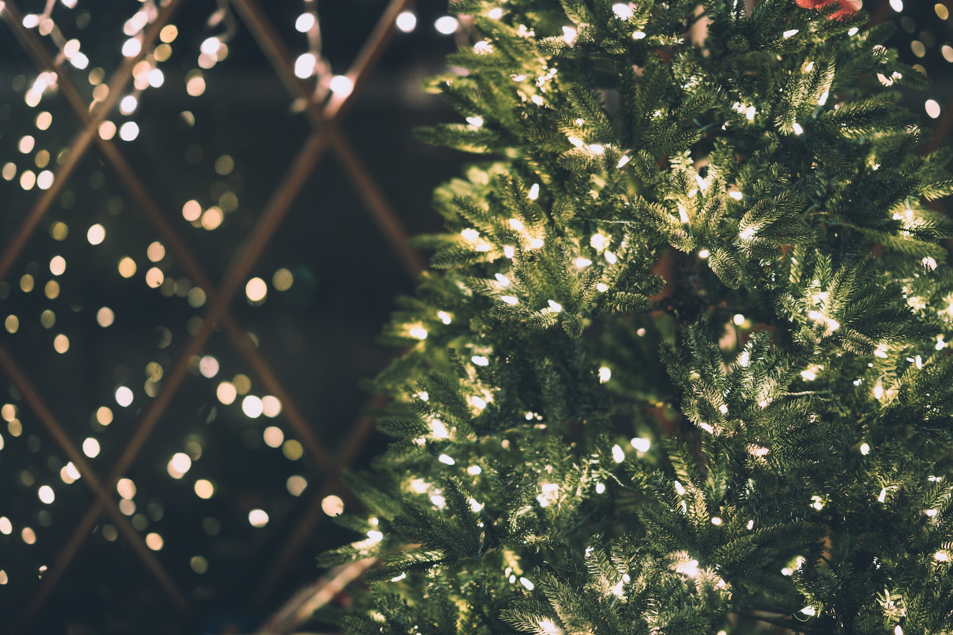Navidad en Pensilvania – Costumbres y tradiciones