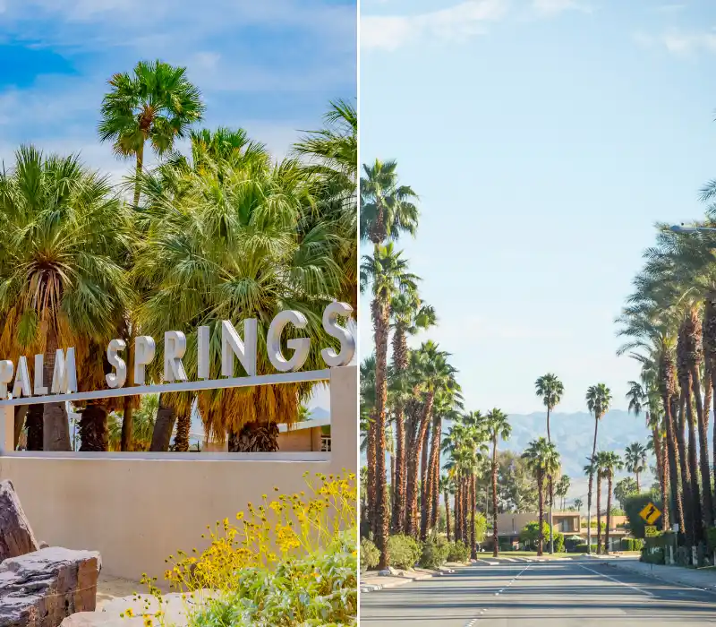 Palm Springs contra Palm Desert en [2023]: ¡Una comparación honesta para ayudarte a elegir!