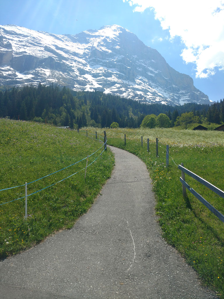 Caminata de Grindelwald a Kleine Scheidegg (Senderismo en Suiza)