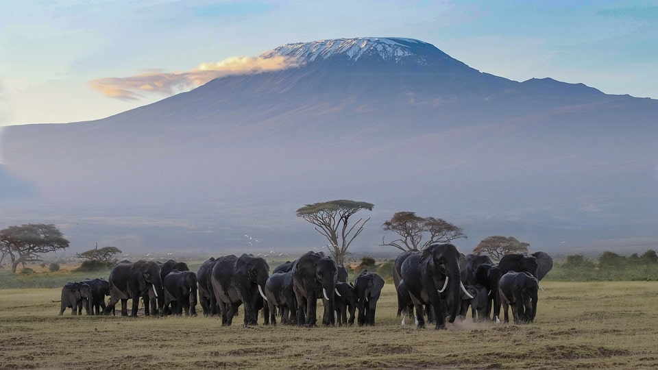 De Nairobi al Kilimanjaro: las mejores opciones de transporte