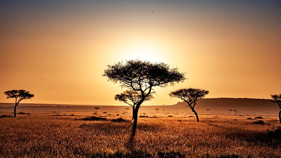 ¿Cuál es el mejor safari a pie en Kenia?