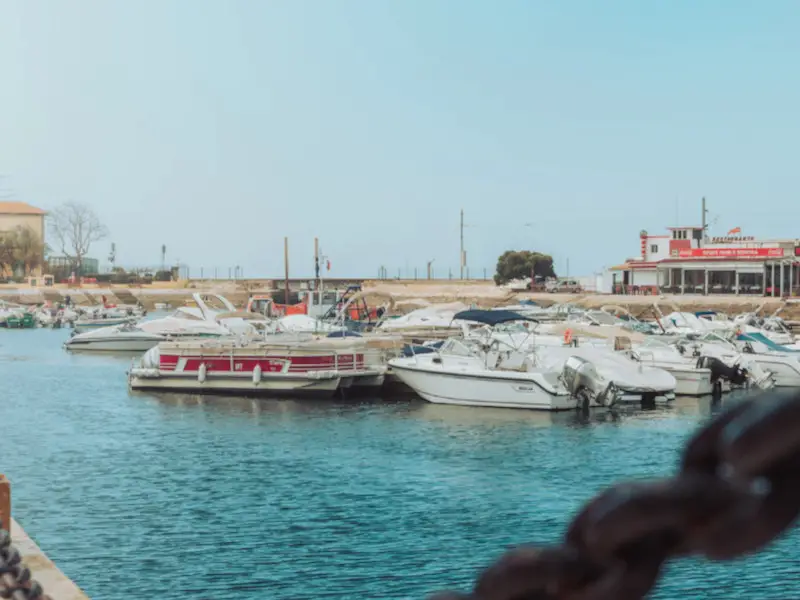 ¿Vale la pena visitar Faro? 11 razones para ver la capital del Algarve ¿Vale la pena visitar Faro? 11 razones para ver la capital del Algarve