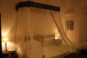 Mosquitos en Bali (Todo lo que necesitas saber)