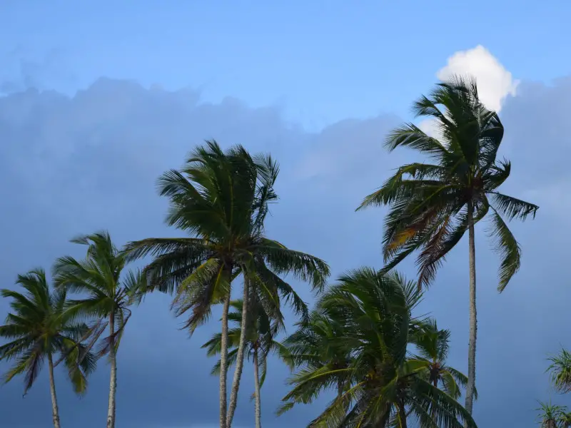 ¿Es caro viajar a Sri Lanka? Nuestra guía de gastos