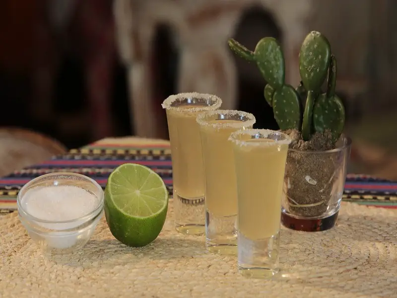 Puerto Vallarta o Puerto Escondido: Tu guía comparativa