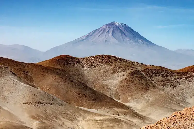 Los 7 animales más peligrosos del Perú: Los animales más letales Los 7 animales más peligrosos del Perú: Los animales más letales