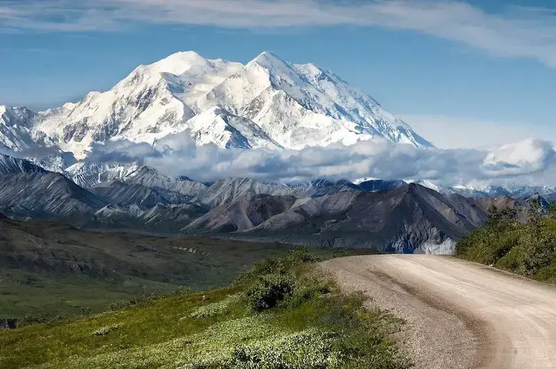 Los 7 animales más peligrosos de Alaska: el desierto de Alaska