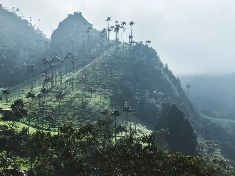 Los 9 lugares más peligrosos de Colombia (evita estas ciudades)