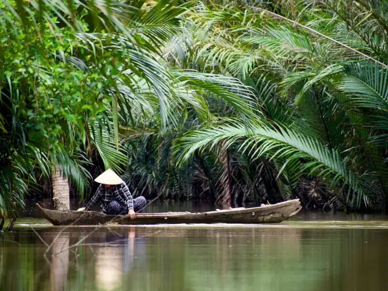Las 5 arañas más comunes en Vietnam que debes conocer Las 5 arañas más comunes en Vietnam que debes conocer