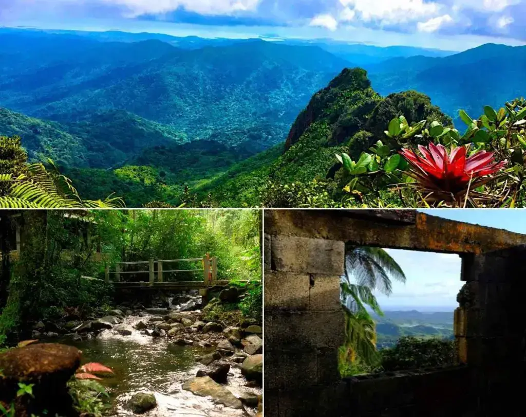 ¿Puerto Rico vs. Costa Rica de vacaciones? ¿Cuál es mejor visitar?