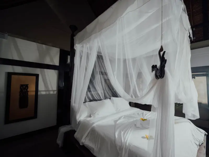 Mosquitos en Bali: todo lo que debes saber