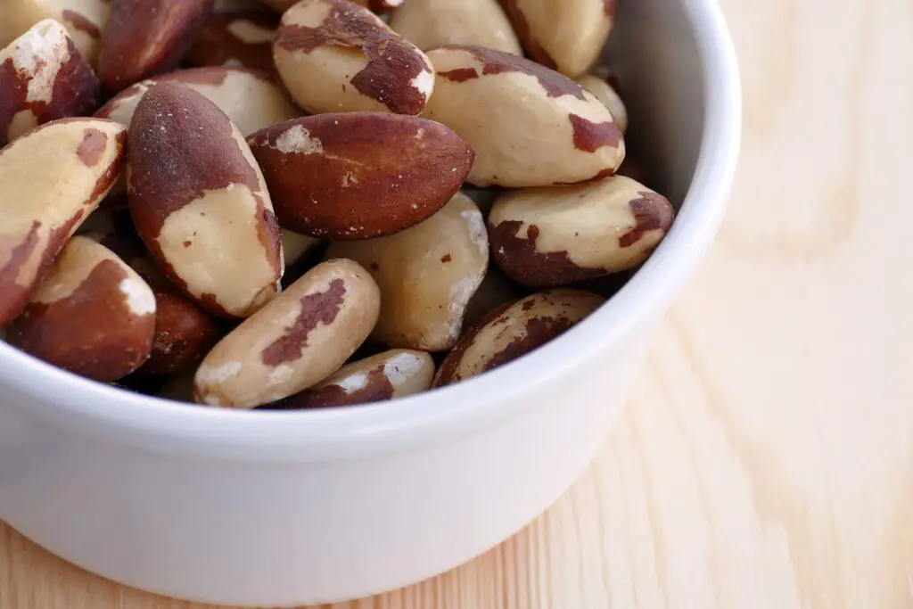 12 Diversos Tipos De Vegetación Que Puedes Encontrar En Brasil